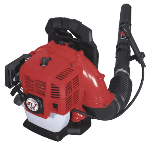 Souffleur à Dos Thermique LB5200BP SCHEPPACH - 1.9CV 295 Km/h - 5911103903 5 Souffleur à Dos Thermique LB5200BP SCHEPPACH - 1.9CV 295 Km/h - 5911103903 – Image 3