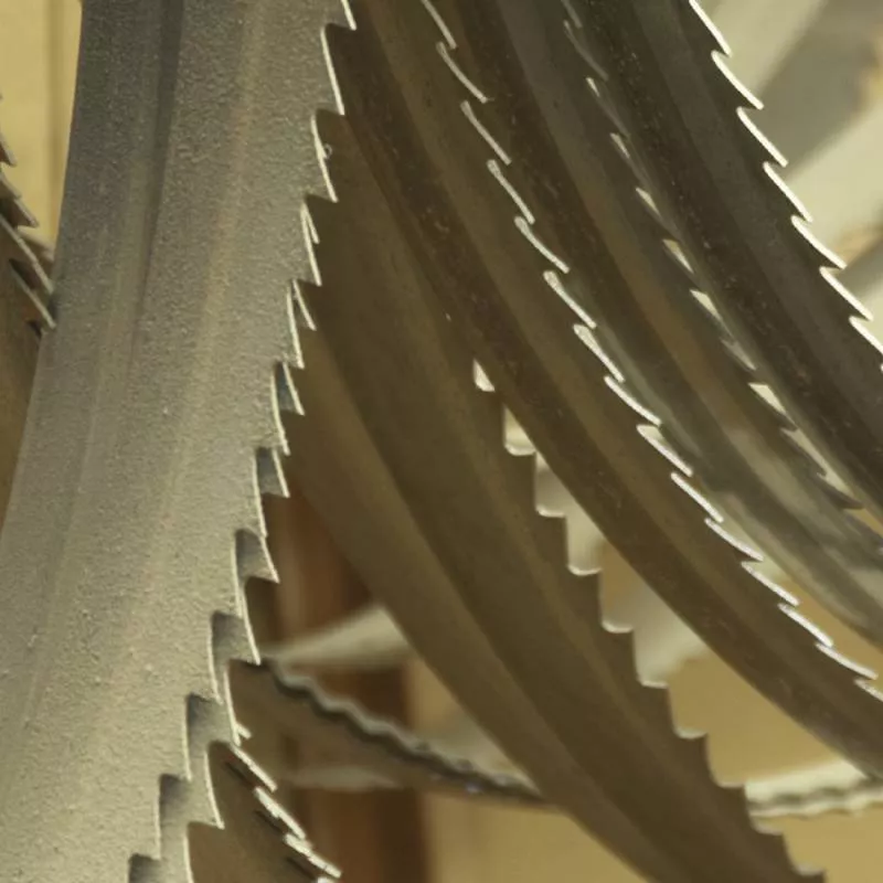 Lame Scie Ruban 18 Z/1" 1440x13x0.65 Mm FEMI NG120 XL ABSNG120 - 3289958 3 Lame Scie Ruban 18 Z/1" 1440x13x0.65 Mm FEMI NG120 XL ABSNG120 - 3289958